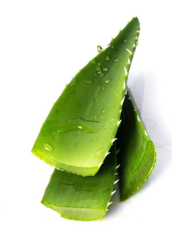 Comment préparer un masque capillaire hydratant avec du gel d'aloe vera et de l'huile de jojoba ?